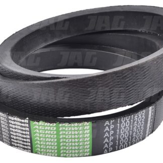 AP1001205 Pas wariatorowy OPTIBELT AGRO POWER