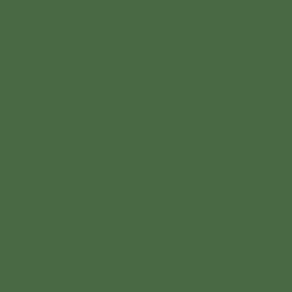 Farba Erbedol Hassia zielona 0,75l (SL6530)