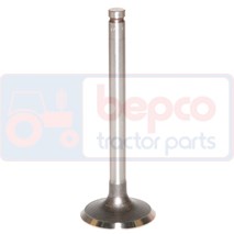 736812M1 Zawór ssący +0.003=0.076mm