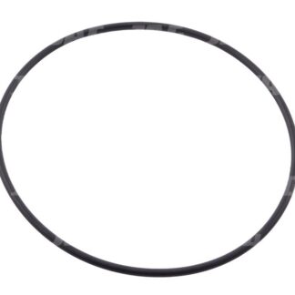 213863 Oring